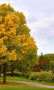 Preview wallpaper autumn, trees, park, avenue, path, october, sky, gloomy