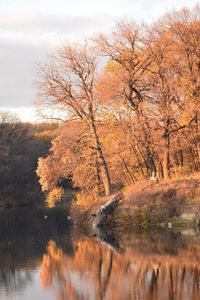 Preview wallpaper autumn, trees, reservoir