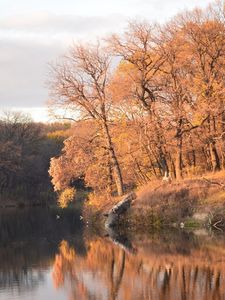 Preview wallpaper autumn, trees, reservoir