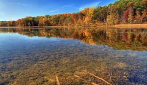 Preview wallpaper autumn, water, transparent, bottom, trees, branches, sky, blue, clearly, brightly