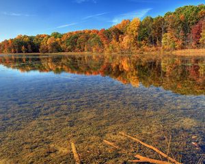 Preview wallpaper autumn, water, transparent, bottom, trees, branches, sky, blue, clearly, brightly