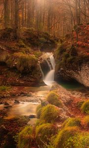 Preview wallpaper autumn, waterfall, stream, forest