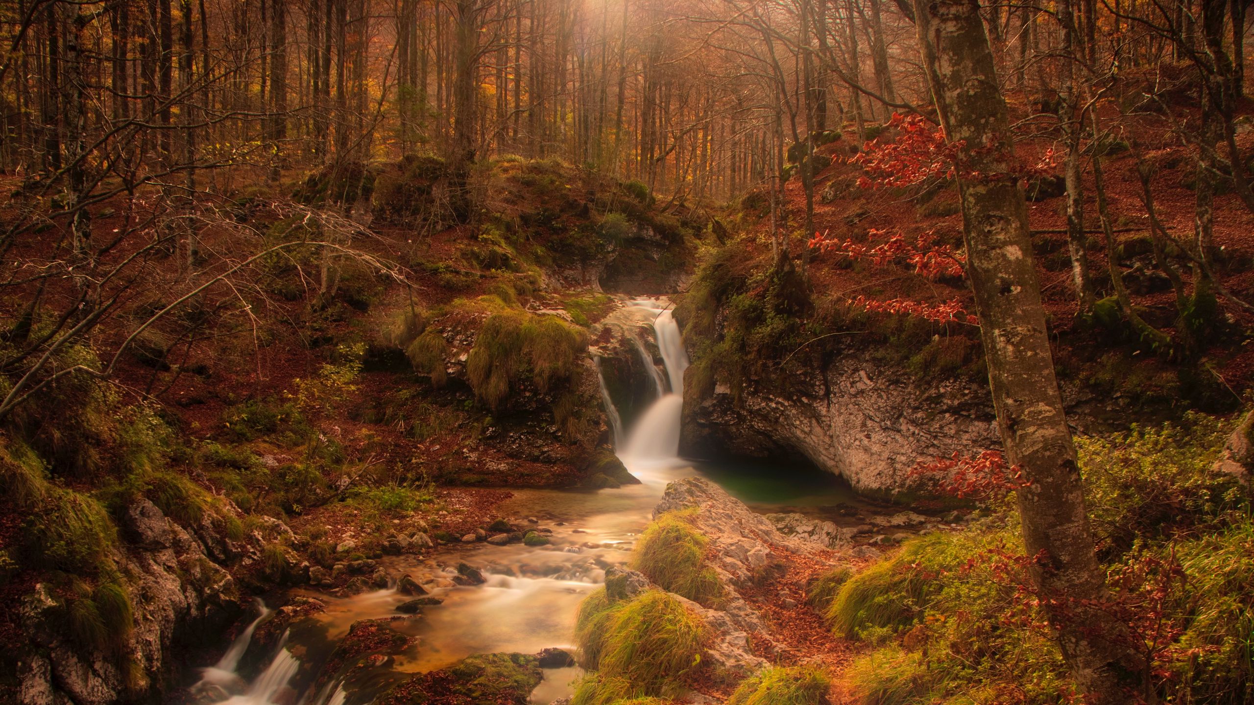 Download wallpaper 2560x1440 autumn, waterfall, stream, forest