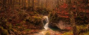 Preview wallpaper autumn, waterfall, stream, forest