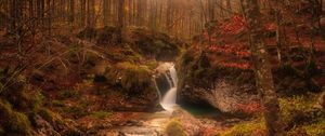 Preview wallpaper autumn, waterfall, stream, forest