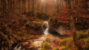 Preview wallpaper autumn, waterfall, stream, forest