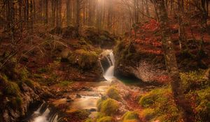 Preview wallpaper autumn, waterfall, stream, forest