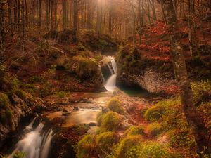 Preview wallpaper autumn, waterfall, stream, forest