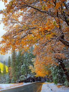 Preview wallpaper autumn, winter, snow, mountains, road