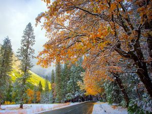 Preview wallpaper autumn, winter, snow, mountains, road