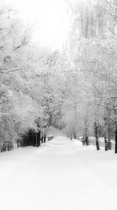 Preview wallpaper avenue, birches, hoarfrost, path, winter, snow, sky, merge