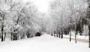 Preview wallpaper avenue, birches, hoarfrost, path, winter, snow, sky, merge