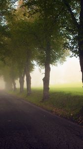 Preview wallpaper avenue, trees, fog, meadow, road, haze