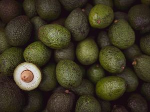 Preview wallpaper avocado, fruit, green