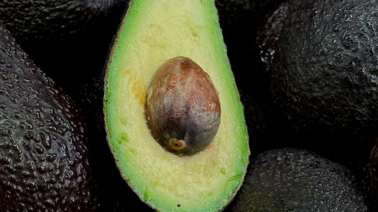 Wallpaper avocado, fruit, half, green