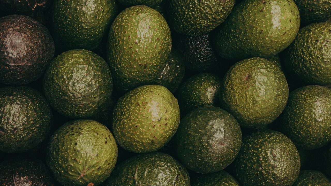 Wallpaper avocado, fruits, green, texture