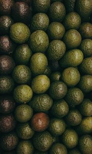 Preview wallpaper avocado, fruits, green, texture