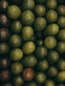 Preview wallpaper avocado, fruits, green, texture