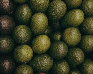 Preview wallpaper avocado, fruits, green, texture