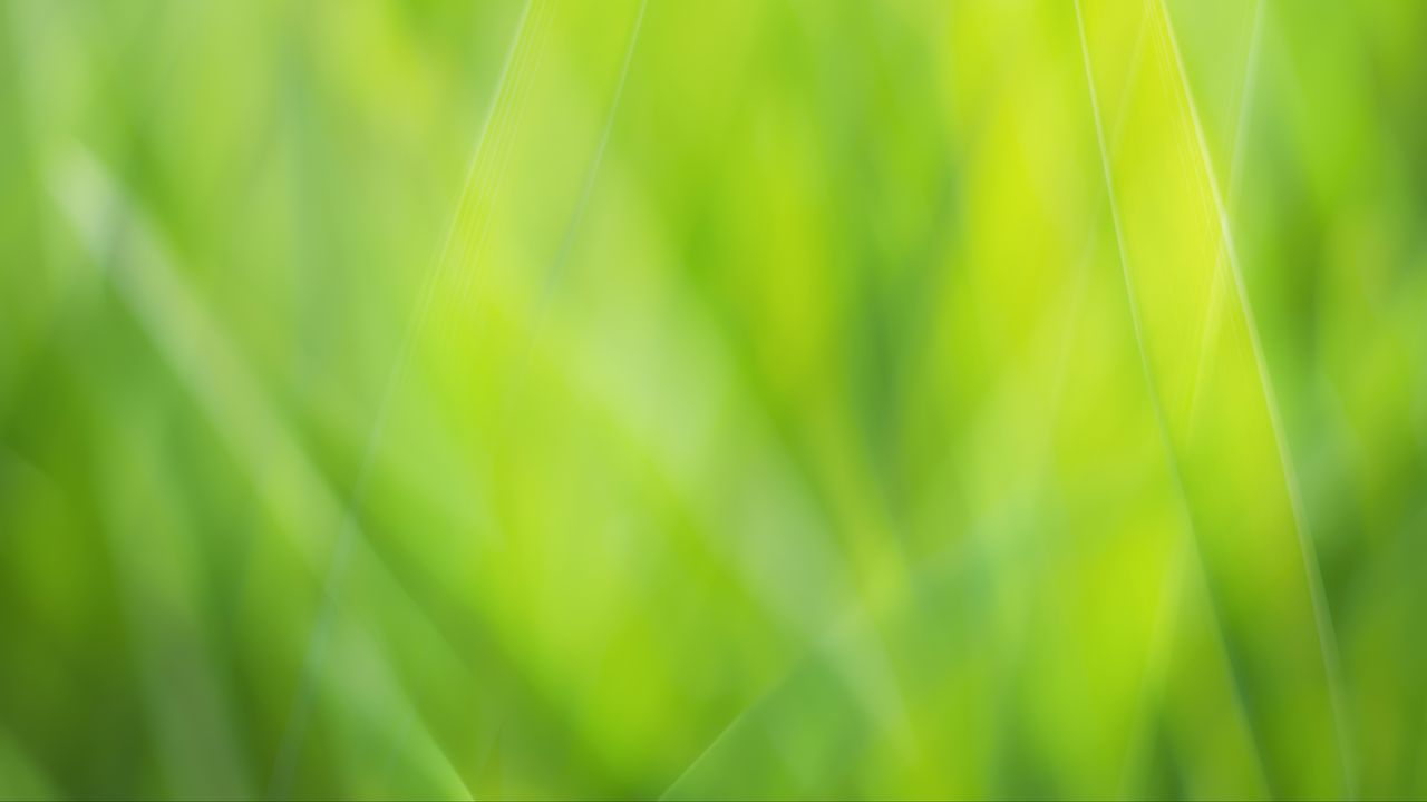 Wallpaper background, abstract, green, color