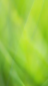 Preview wallpaper background, abstract, green, color