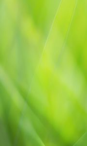 Preview wallpaper background, abstract, green, color