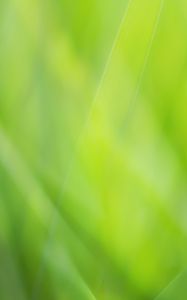 Preview wallpaper background, abstract, green, color