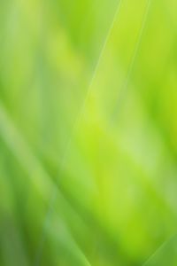 Preview wallpaper background, abstract, green, color