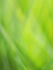 Preview wallpaper background, abstract, green, color