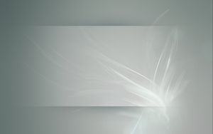 Preview wallpaper background, flower, light, pale