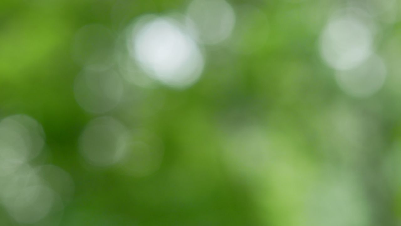 Wallpaper background, green, bokeh, abstraction