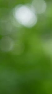 Preview wallpaper background, green, bokeh, abstraction