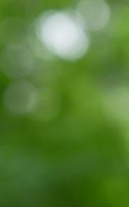 Preview wallpaper background, green, bokeh, abstraction