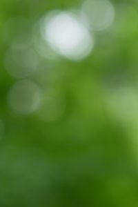 Preview wallpaper background, green, bokeh, abstraction