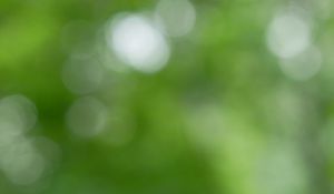 Preview wallpaper background, green, bokeh, abstraction