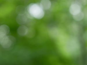 Preview wallpaper background, green, bokeh, abstraction