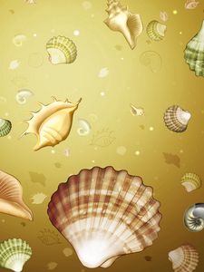 Preview wallpaper background, image, shells, color