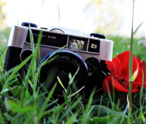 Preview wallpaper background, poppy seeds, grass, camera, plant, flower, red, mood lens