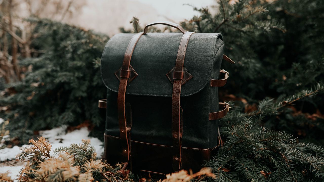 Wallpaper backpack, black, leather, spruce, needles