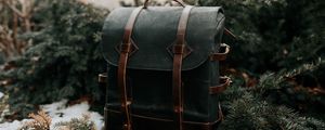 Preview wallpaper backpack, black, leather, spruce, needles
