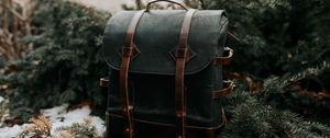 Preview wallpaper backpack, black, leather, spruce, needles