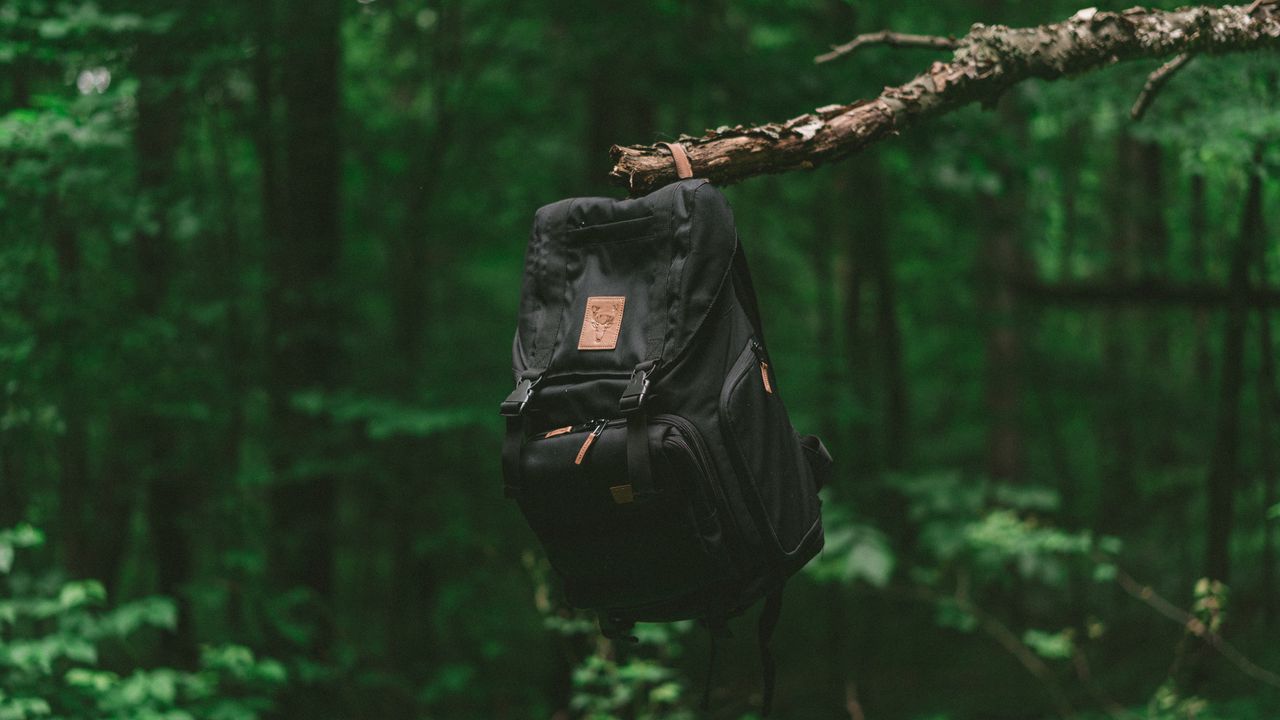 Wallpaper backpack, branch, forest, travel