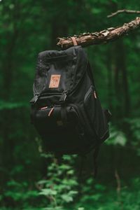 Preview wallpaper backpack, branch, forest, travel
