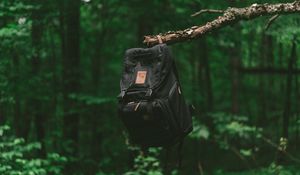Preview wallpaper backpack, branch, forest, travel