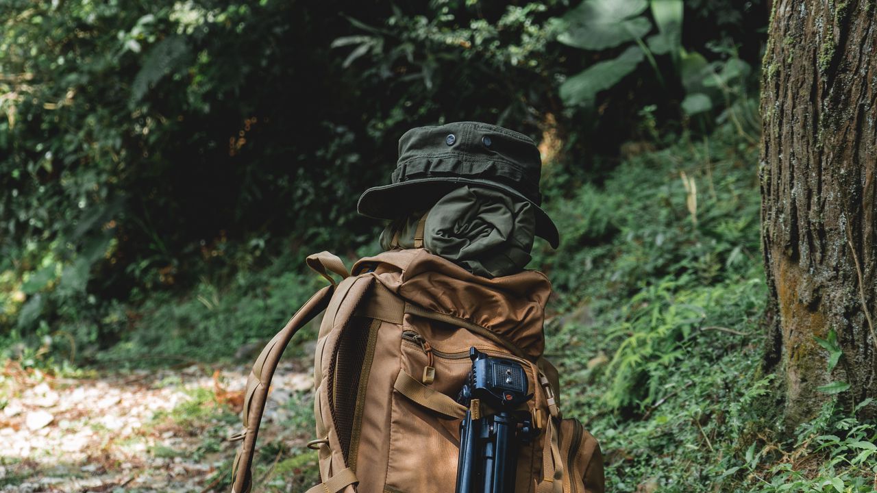 Wallpaper backpack, gear, camping, forest, nature