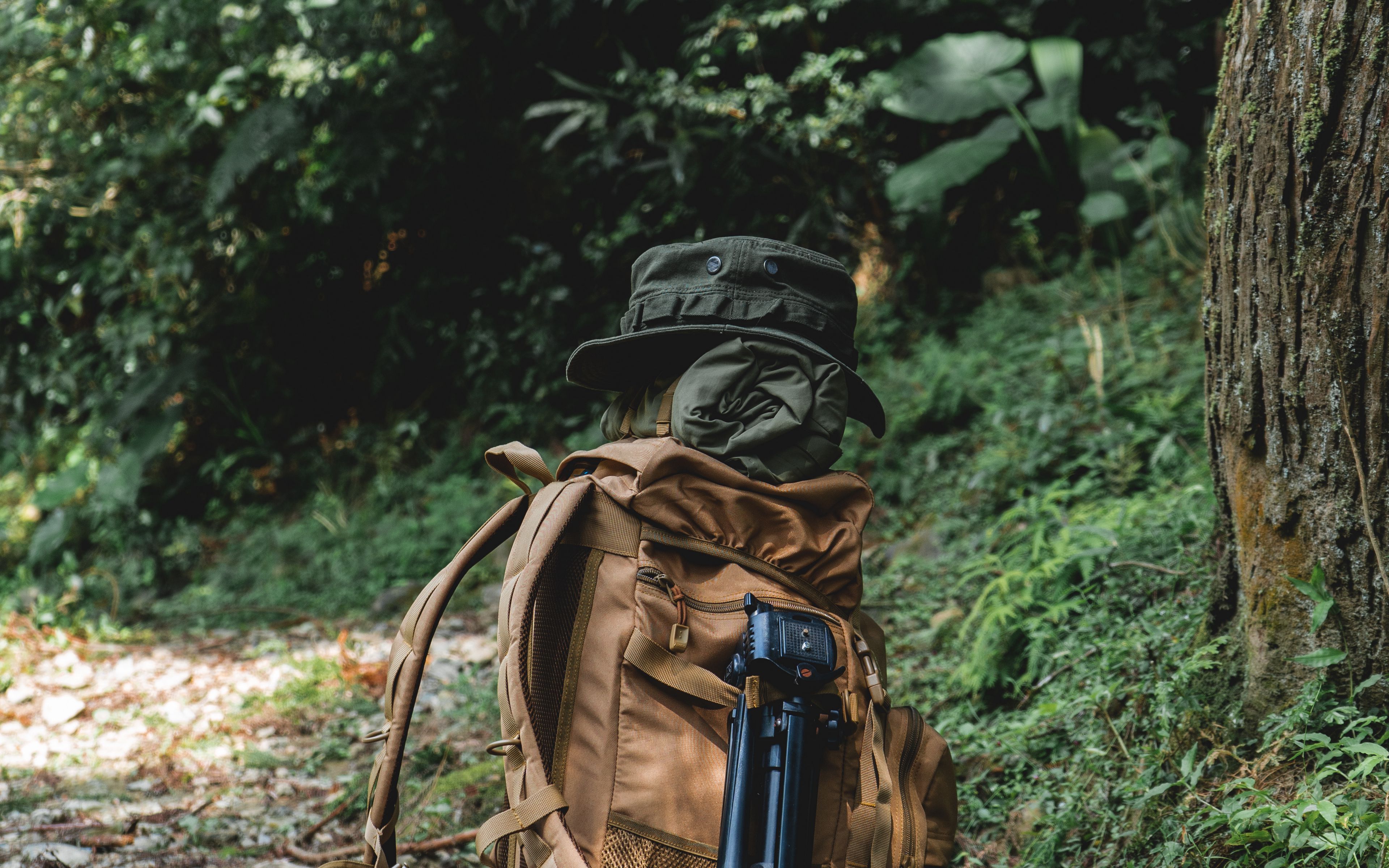 Download wallpaper 3840x2400 backpack, gear, camping, forest, nature 4k