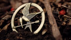 Preview wallpaper badge, brooch, earth, bird