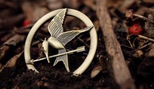 Preview wallpaper badge, brooch, earth, bird