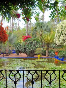 Preview wallpaper balcony, flowers, pots, pond, water-lilies