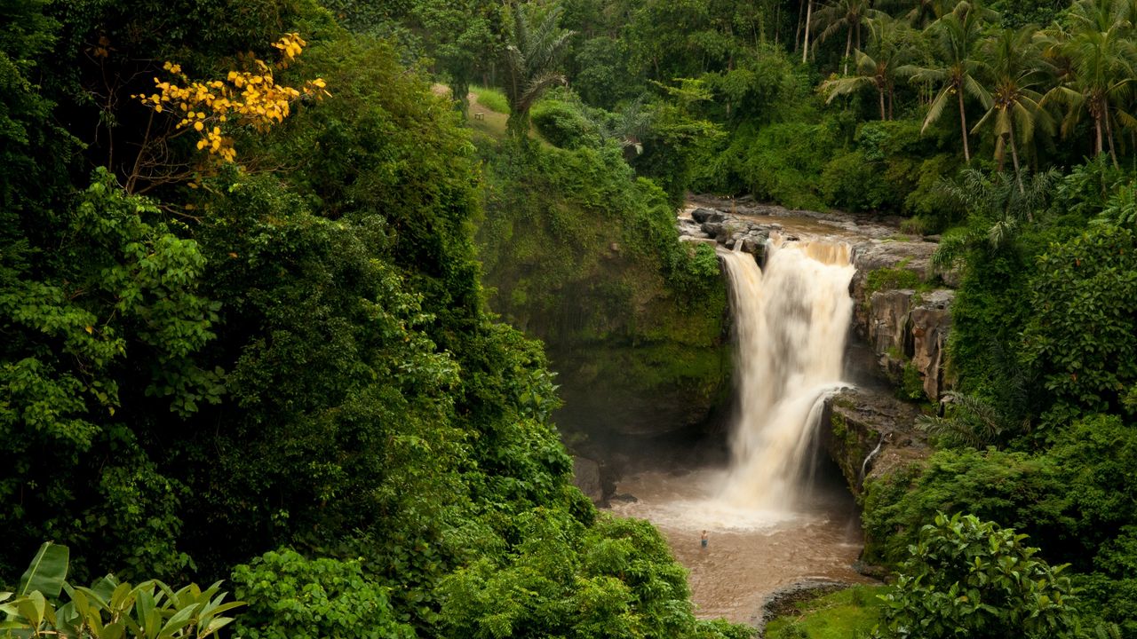 Wallpaper bali, indonesia, waterfall, forest, palm trees, rock